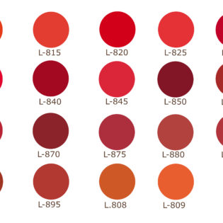 Pigmentos de Labios Línea Evolution
